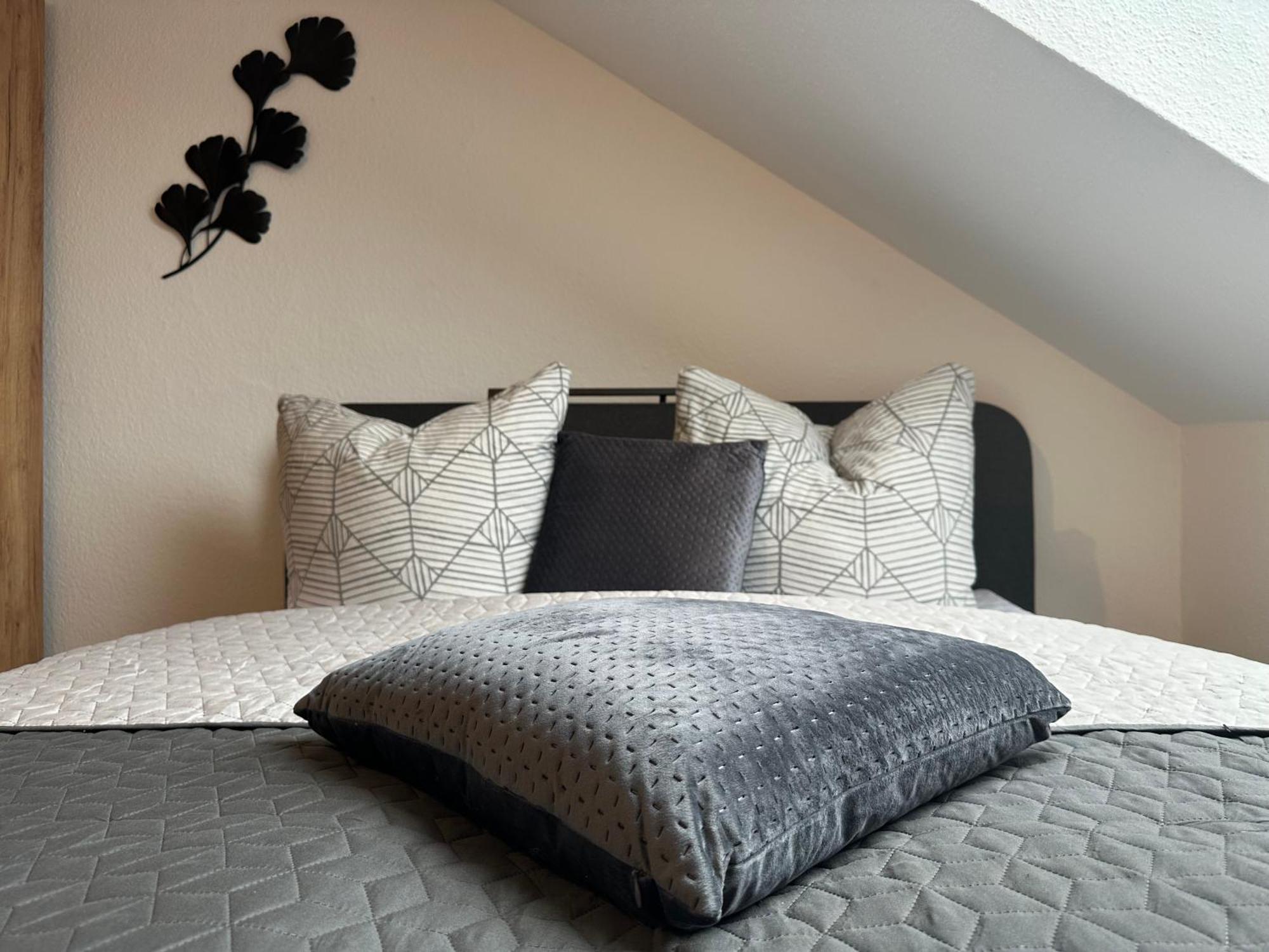 Ferienwohnung Zeitz - Weisse Elster Apartment エクステリア 写真
